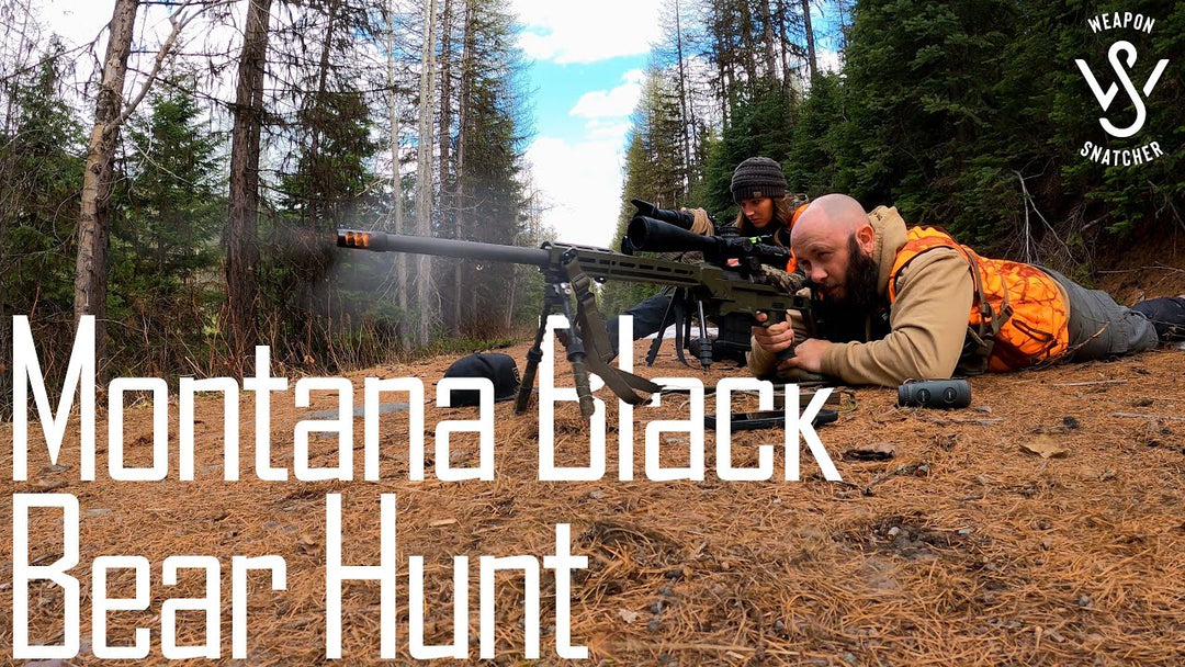 Montana Black Bear Hunt